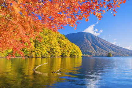 Nikko Private Tour dari Tokyo dengan Driver Berbahasa Inggris (Tanpa Pemandu)