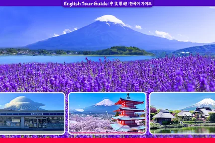 【富士山壮丽美景探秘一日游】新仓山公园&河口湖大石公园&忍野八海&INS网红罗森&日川时计店（东京出发）