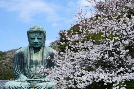 Tur Klasik Sehari di Kamakura｜Kuil Tsuruoka Hachimangu + Buddha Raksasa Kamakura + Kuil Hase Kannon + Enoshima (Termasuk makan siang masakan Jepang) Berangkat dari Tokyo