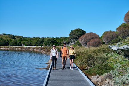 Escursione guidata ai laghi e alle baie sull'isola di Rottnest