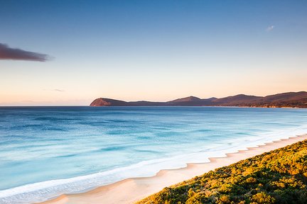 3D Tasmanian Highlight Tour: Hobart, Port Arthur, & Bruny Island