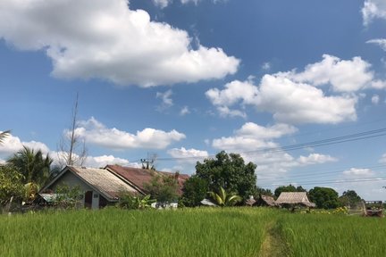 Tour giornaliero della cultura tailandese di Krabi Koh Klang con pranzo