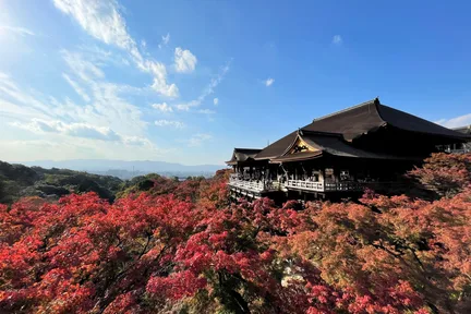 京都文化遗产一日游｜金阁寺＆岚山＆三十三间堂＆清水寺｜可选神户牛肉涮涮锅午餐（大阪・京都出发）