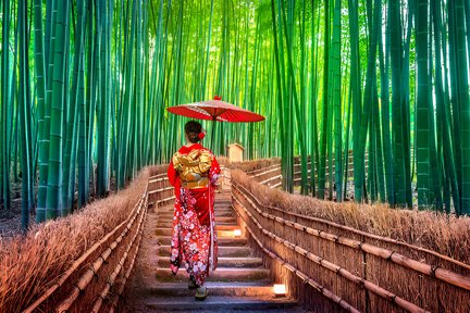 Kyoto Highlights Private Day Trip (Departure from Osaka/Kyoto)