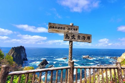 Otaru Secret Cherry Blossom Viewing & Shakotan Peninsula Cape Kamui (отправление из Саппоро) Однодневный тур