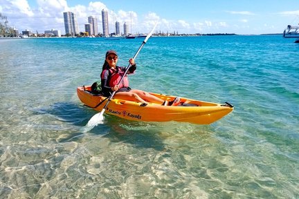 Excursion en kayak et plongée en apnée sur la Gold Coast