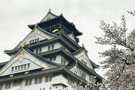  Half-Day Osaka Off-The-Beaten-Path Walking Tour