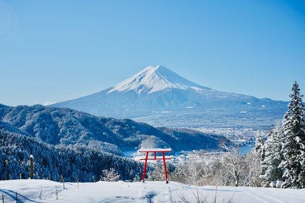 富士五湖グランピング&レンタカーパッケージ ・PICA Fujiyama(河口湖)