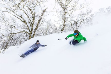 Rusutsu Resort ski resort 1-day lift ticket + round-trip bus ticket [Departing from/arriving at Sapporo]