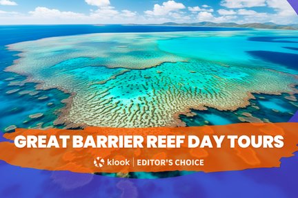 Tagestouren zum Great Barrier Reef