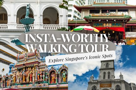 Insta-Worthy Bugis Walking Tour  