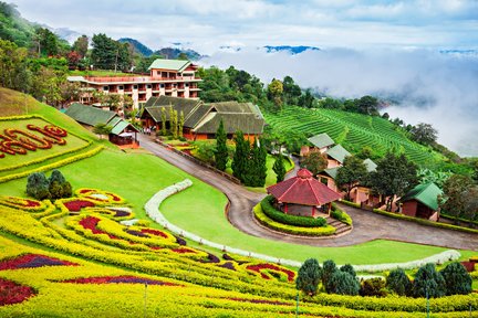 Excursión de día completo a Doi Tung y Doi Mea Salong en Chiang Rai