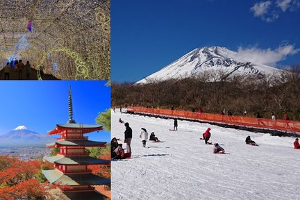 Tour di un giorno al Monte Fuji, alla Pagoda a cinque piani, all'illuminazione e alla funivia