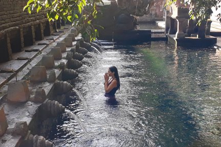 Tour privado de un día con todo incluido en Ubud