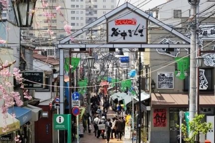 Tour privato a piedi del patrimonio di Ueno, Yanaka e Sendagi