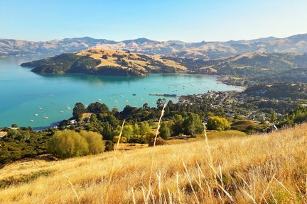 Akaroa Scenic Nature 4-WD Tour from Akaroa