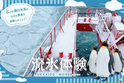 2D1N Icebreaker Experience & Sounkyo Ice Festival Tour from Sapporo