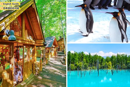 Zoo di Asahiyama + Itinerario stagionale + Tour di un giorno alla Terrazza delle fate della foresta | Partenza da Sapporo