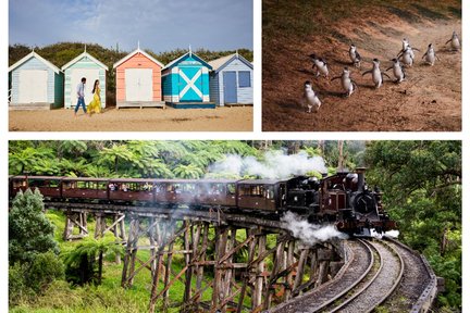 Tour đến Hộp Bãi Biển Brighton, Tàu Puffing Billy và Đảo Phillip (Tiếng Trung)