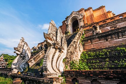 Tour privato di mezza giornata della città e dei templi di Chiang Mai di TTD Global