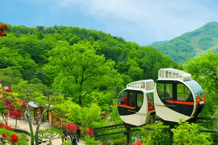 和谈林 & 斜坡滑车 & 韩国民俗村一日游(首尔出发)