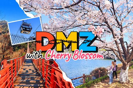 DMZ + DMZ Gondola / Suspension Bridge(Optional) Tour from Seoul