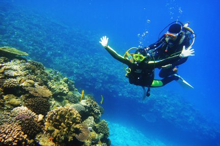 Plongée avec tuba et plongée sous-marine dans la grotte bleue d'Onna Village