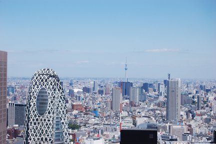 Visite en bus de la ville de Tokyo, du sanctuaire Meiji et de Tokyo Skytree avec expérience de croisière