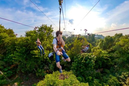 MegaZip в Mega Adventure Park Singapore