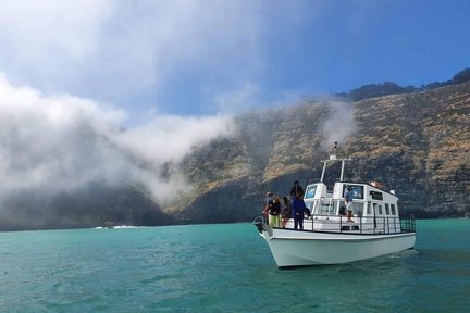 Akaroa Wildlife Cruise