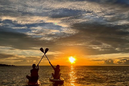 กิจกรรมพายซับบอร์ดในนิวไทเป โดย Bay Mini Cruise