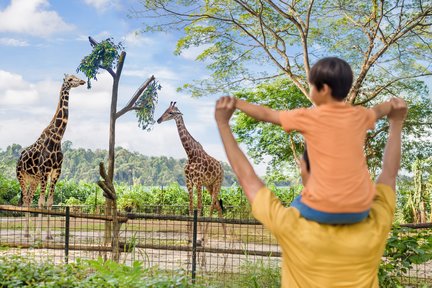 Ticket für den Zoo von Singapur mit Straßenbahnfahrt
