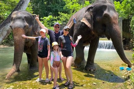 Lawatan Separuh Hari ke Rumah Penjagaan Gajah Krabi & Wat Tham Suea (Kuil Gua Harimau)