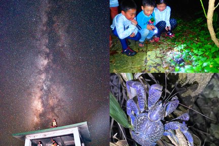 [Miyakojima/Night] Starry Sky & Jungle Night Tour