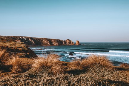 ทัวร์เกาะฟิลลิป (Phillip Island) พร้อมชมพาเหรดนกเพนกวินแบบเต็มวัน