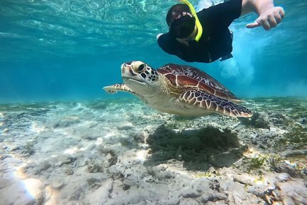 印尼龙目岛Gili Trawangan＋Gili Meno＋Gili Air私人浮潜一日游