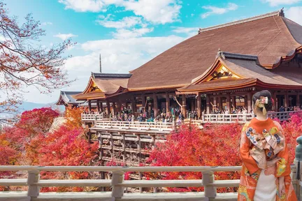 【京都&宇治一日游】金阁寺&清水寺&平等院&宇治川&抹茶美食街&兔子神社&紫式部像(大阪或京都出发)