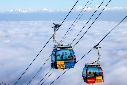 大关岭天空牧场 & 三养牧场 + 发旺山缆车 & 天空步道