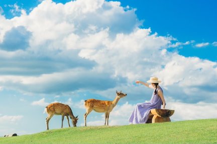 Kyoto Classic Attractions Check-in Tour - Kiyomizu Temple & Fushimi Inari Taisha Thousand Torii Gates & Nara (Free Deer Biscuits | Depart from Osaka/Kyoto