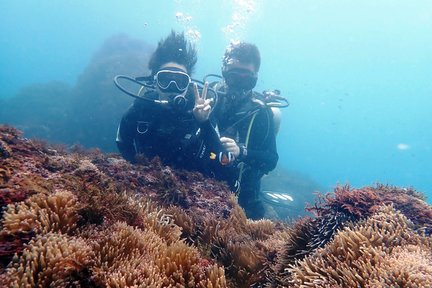 新北｜龙洞四季湾潜水体验｜免潜水执照