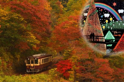 Excursion d'une journée aux feuilles d'érable d'automne au départ de Tokyo