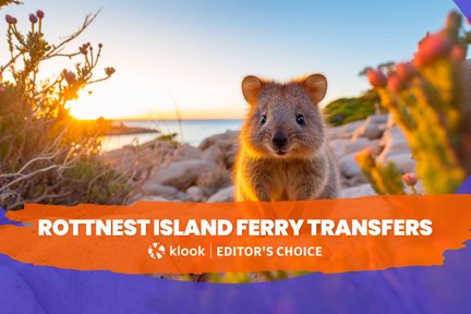 Fährtransfers nach Rottnest Island