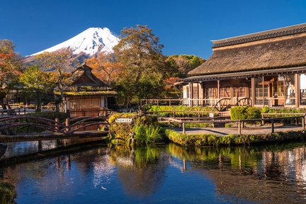 日本富士山一日遊｜新倉山淺間公園－富士吉田“本町街”－西湖溫柔之鄉根場－忍野八海｜新宿出發