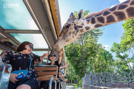 Ticket für den Nachtsafaripark Chiang Mai