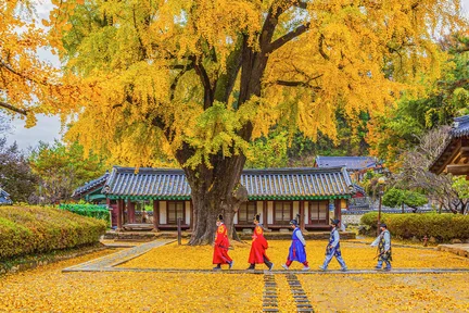 全州韩屋村＆季节性热门景点一日游