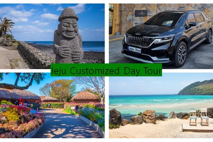 Tour in auto privata di Jeju con guide locali