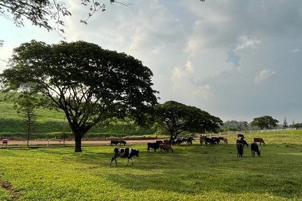 บัตรเข้าชมไร่ Farm Fresh at UPM ที่เซอรีเคมบางันในเซลังงอร์