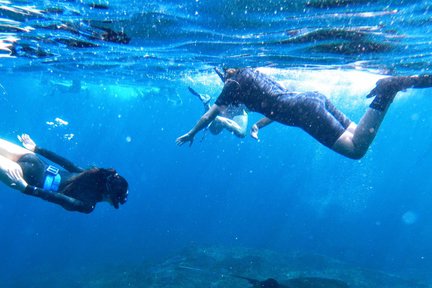 Tulamben, Padang Bai, Amed and Nusa Penida Snorkeling Experience by Bali Diving