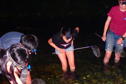 Raccolta notturna di gamberetti con cena a Hualien