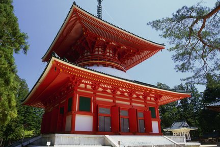 Mt Koya Walking Tour from Osaka